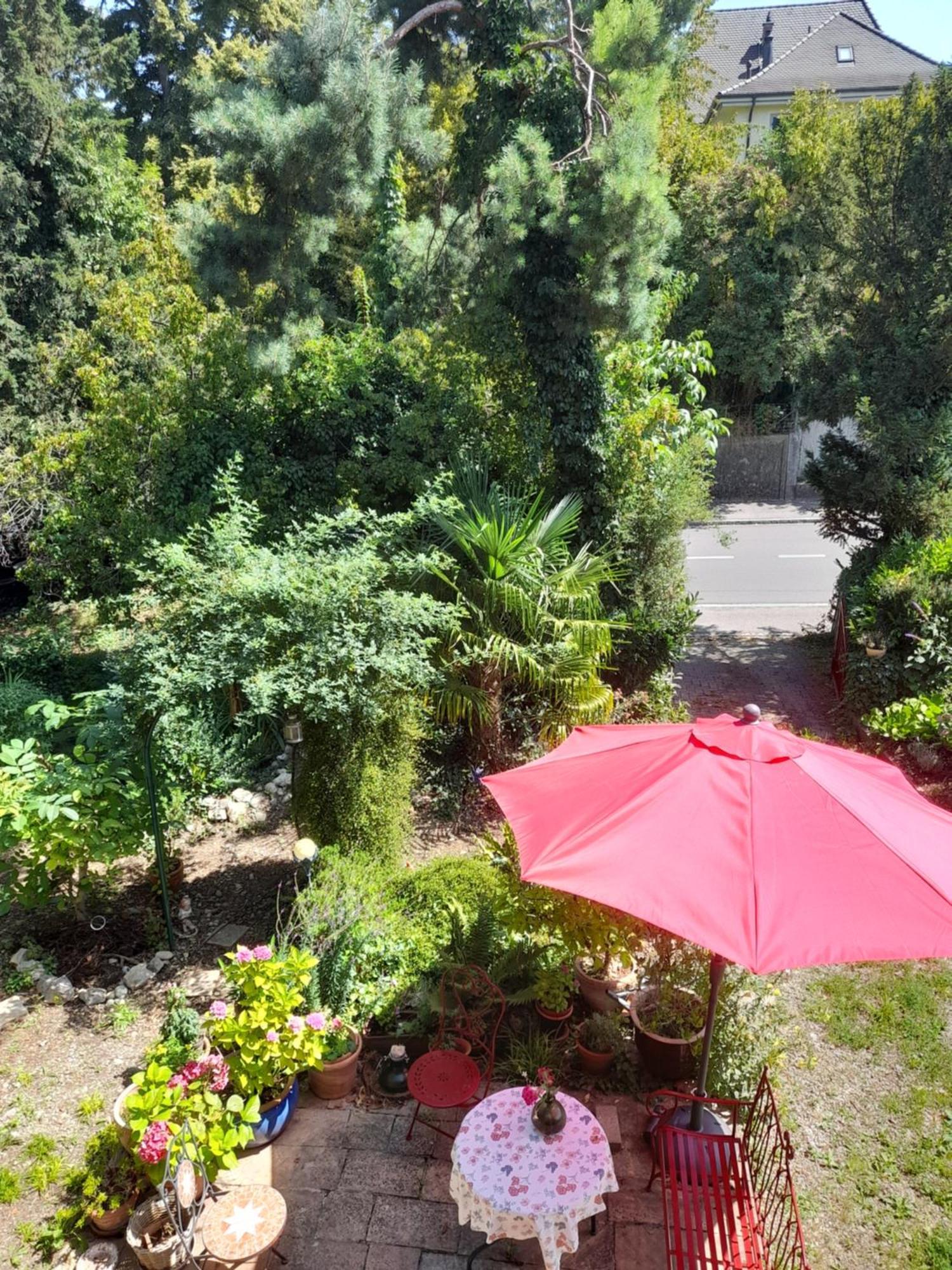 B&B Am Park Rheinfelden Eksteriør bilde