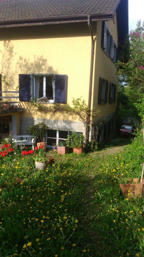 B&B Am Park Rheinfelden Eksteriør bilde