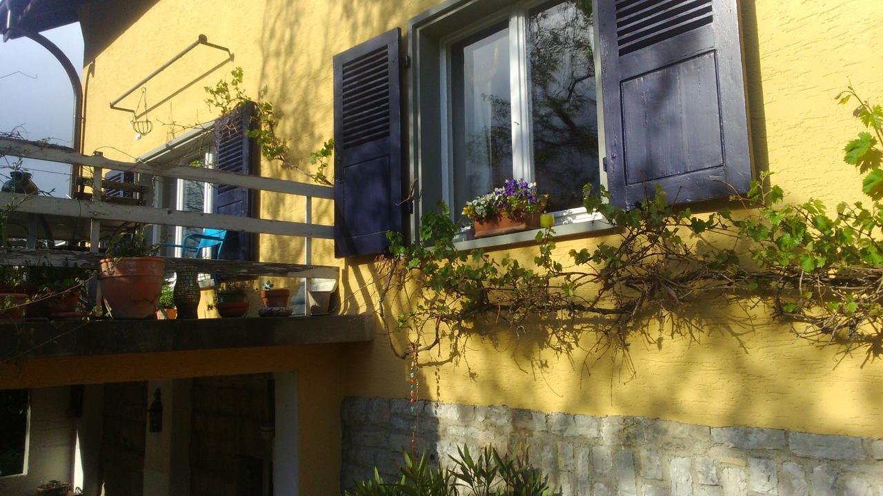 B&B Am Park Rheinfelden Eksteriør bilde
