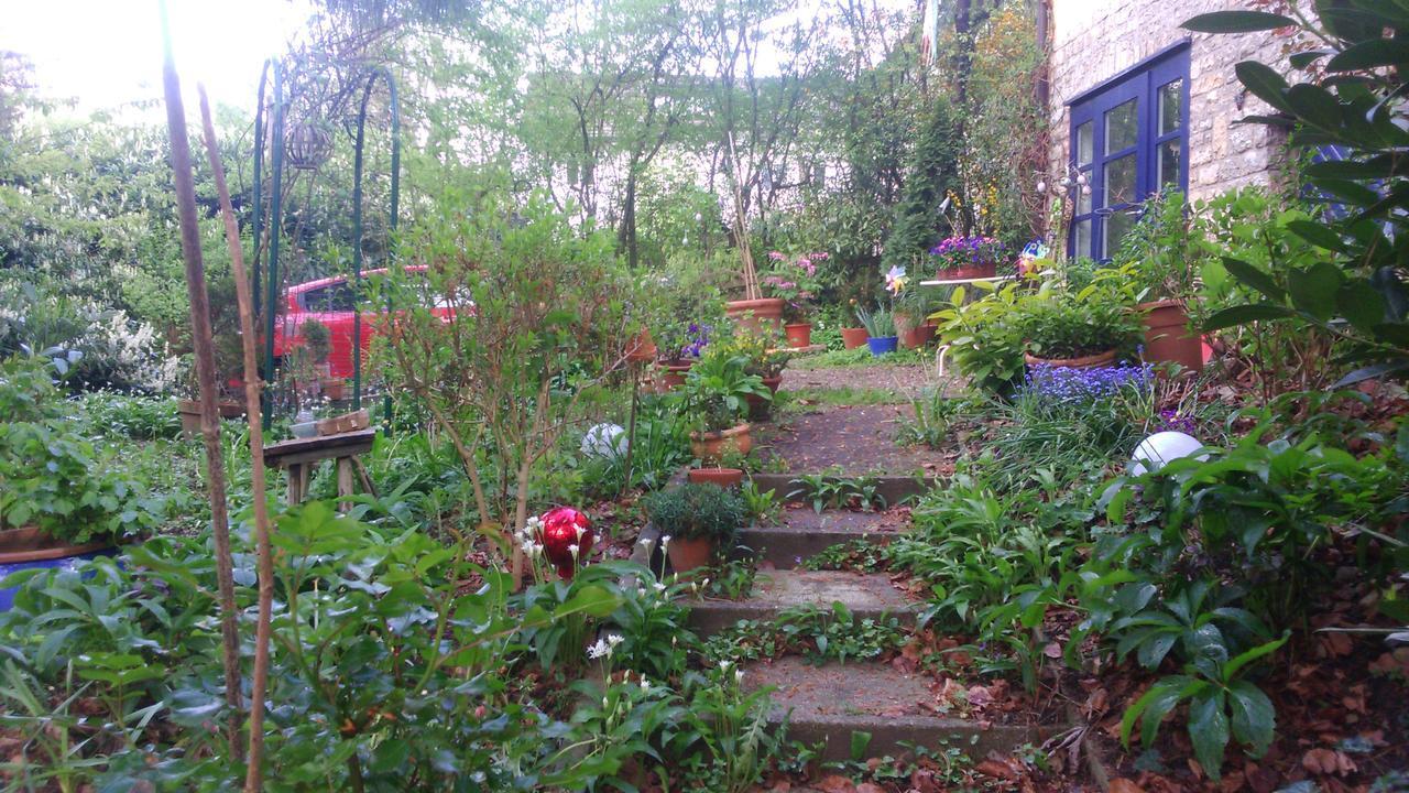 B&B Am Park Rheinfelden Eksteriør bilde