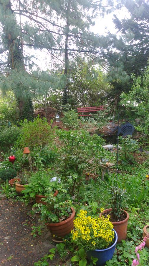 B&B Am Park Rheinfelden Eksteriør bilde